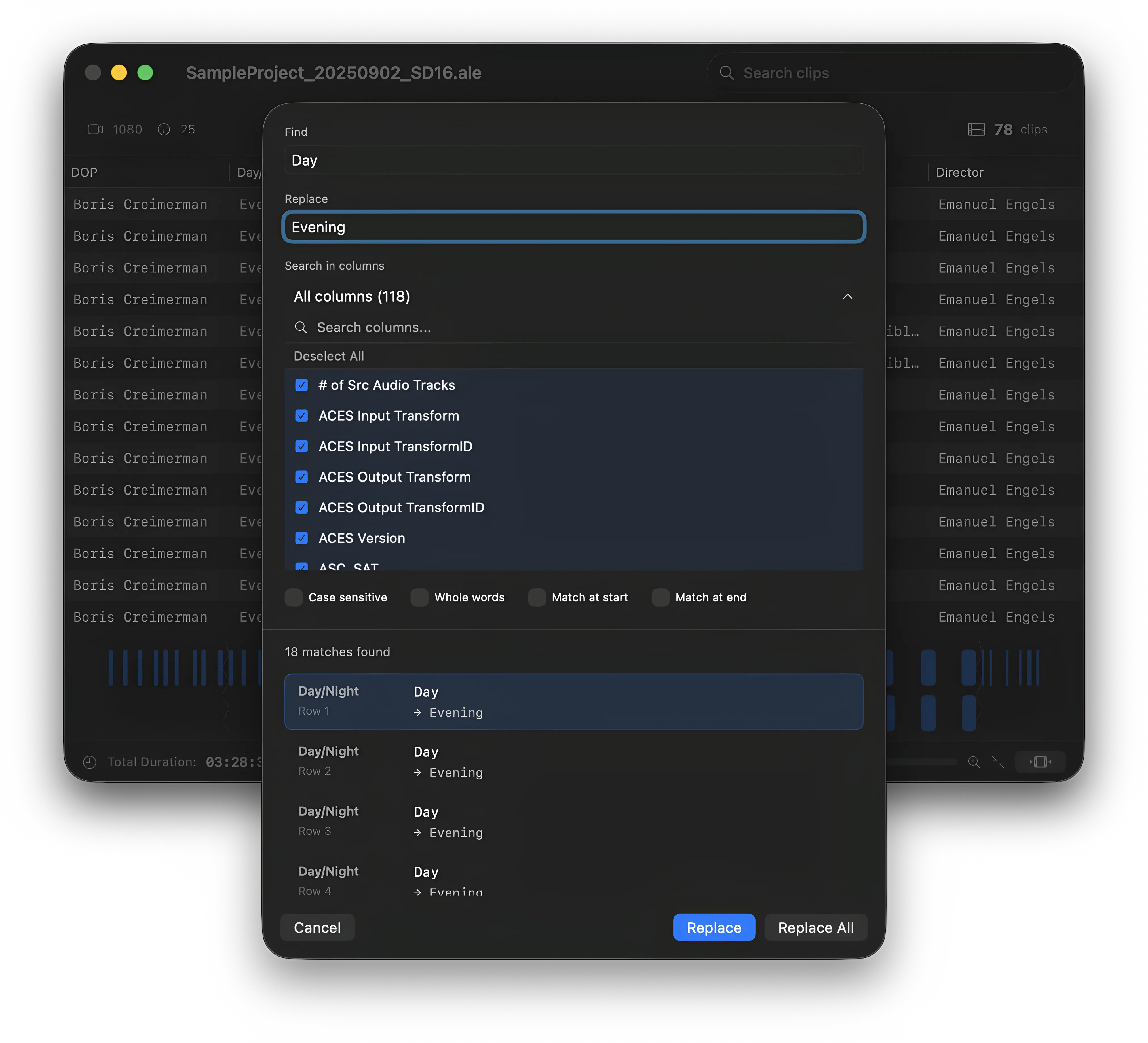Screenshot: Find and replace dialog